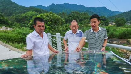 引“外援”助脱贫！丰顺三山村“长短结合”谋发展