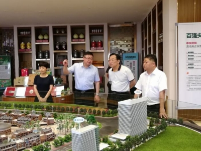 凌松宏一行到五华县调研统计工作