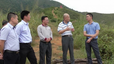 孙朝晖一行到潭下镇布坪村调研全域旅游暨旅游扶贫工作