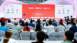 今年“双11”怎样玩？京东聚美优品圆通高管有话说