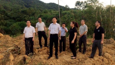 县长熊锋松、县政协主席李礼醒到大东镇、枫朗镇调研