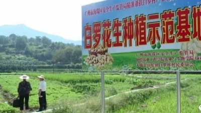 大埔白罗村新农村示范村建设 ：上下一心  蹚出一条幸福路