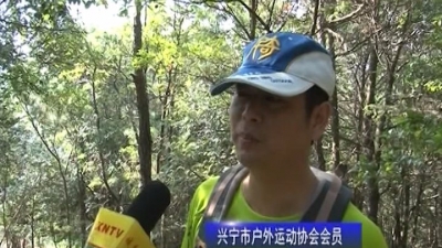兴宁阳天嶂  因为有了这群“绿精灵”而更美丽