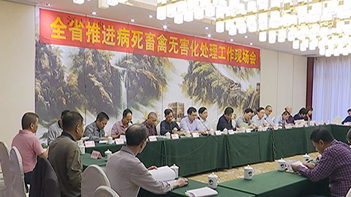 全省推进病死畜禽无害化处理工作现场会在蕉岭召开
