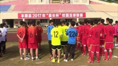 丰顺“县长杯”校园足球联赛落幕 250多人参赛