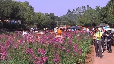 专家教授实地感受平远的丹霞地貌和景区风光