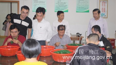 卢振中率检查组到梅江区检查验收残疾人社区康园中心