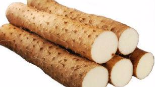 三圳九岭淮山热销　产值达500多万元