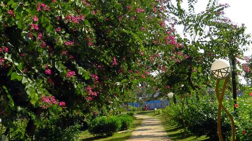 为群众提供休闲好去处  梅县建了30个森林公园