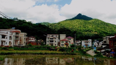 好消息！丰顺37个村获“广东省卫生村”称号