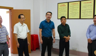 市、区人大常委会到三角镇督查人大工作