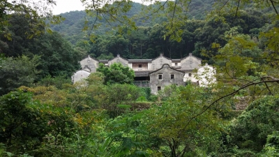 小记者文章丨诗一般的桥溪