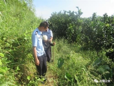 惊险！大埔八旬老妪独自捡田螺摔倒在齐人高的草丛中...
