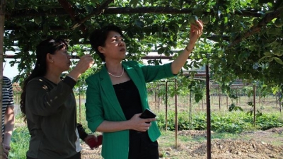 蔡雪嫦一行到周江增洞调研妇联基层组织建设等工作