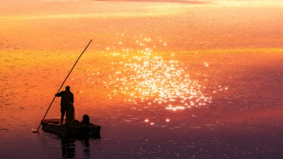 张伟明｜挺拔生命