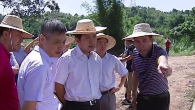 陈光荣率队来梅调研国土资源工作