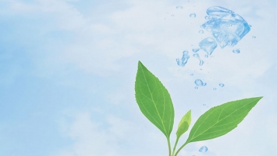 全市爱卫工作会议在平远召开 林雨兰作出这些要求…