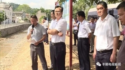 全市山区中小河流治理工作现场督导会在丰顺召开