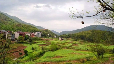 小记者文章丨老家的莺歌小院