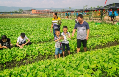 打造现代化农业产业！汉光超顺农业园蕉华基地开园