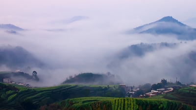 吴伟华｜我看着大雾漫过全身