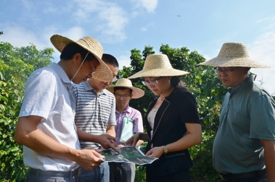 区长肖卫华率队到梅江区城北镇研究解决群众反映问题