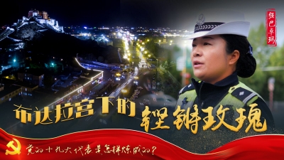 党的十九大代表是怎样炼成的
强巴卓玛：布达拉宫下的铿锵玫瑰