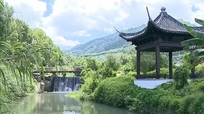 钟光灵到雁洋镇接访 妥善解决群众诉求平安护航十九大