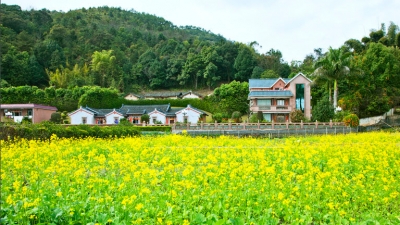 丰顺黄花村丨祖祠奇观催奋进 崇文重教代代传
