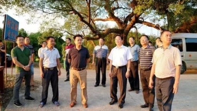 县委书记朱汉东调研茶阳镇新农村示范村建设：精心组织 主动作为