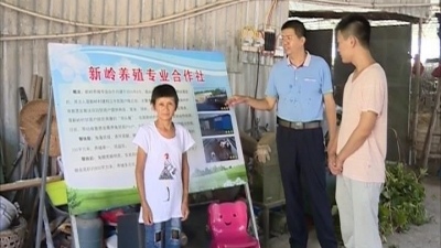 产业“造血”发展 汤西镇新岭村群众脱贫奔康