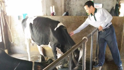 五华水寨镇开展秋季动物防疫工作