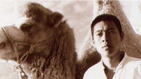 鹅卵石的人生——读《骆驼祥子》有感