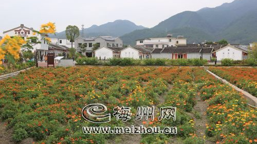 蕉岭农村人居环境综合整治向城市标准看齐