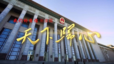 “我们的自信”制度篇——天下归心