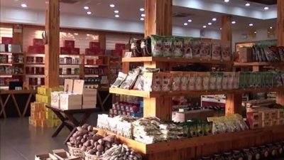 假期最后一天，带点什么丰顺特产比较好？