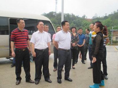 朱汉东调研枫朗镇新农村示范村建设工作