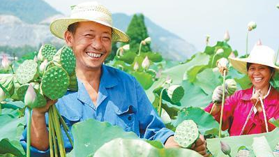 十九大时光|蕉岭县九岭村摘掉省定贫困村帽子