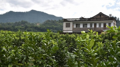 2017南粤古驿道定向大赛第六站28日在百侯镇举行