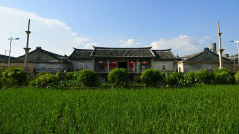 朱汉东到高陂镇调研新农村建设进展  要求要用好“四张牌”