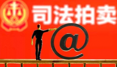 平远法院首例网络司法拍卖成功