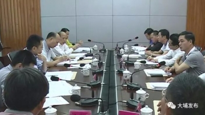 市人大督查组到埔开展县镇人大工作和建设督查指导