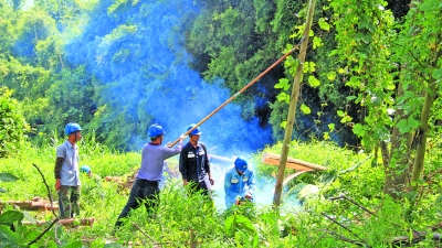 丰顺开展供电隐患专项整治行动