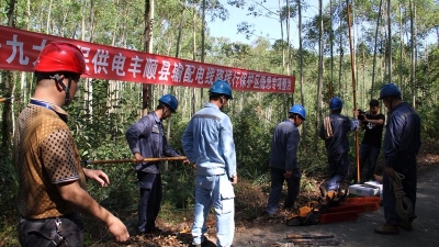 丰顺县供电局多个专项方案除线路隐患保供电安全