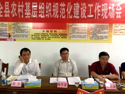 大埔县召开全县农村基层组织规范化建设工作现场会