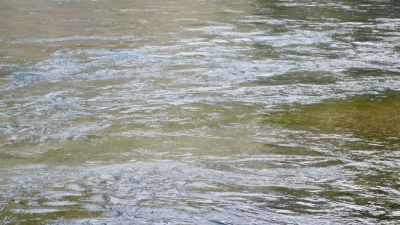 陈德志率队检查乐干河水环境治理工作