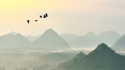 梅县区开展庆祝重阳系列文体活动