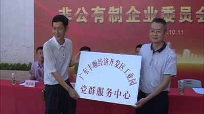 广东丰顺经济开发区工业园非公有制企业党委举行挂牌揭幕仪式