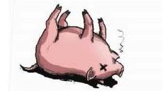 丰顺一死猪弃绿化带散恶臭多日  路人苦不堪言