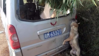 2名外地男子开改装“神车”来五华偷狗被抓了